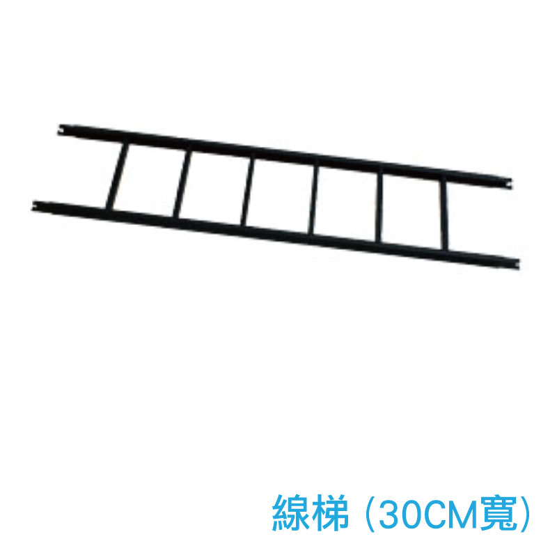 台達 MSR9005 線槽 (30CM寬)